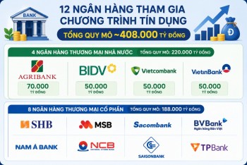 12 ngân hàng dành 408.000 tỷ đồng tiếp vốn cho động lực tăng trưởng