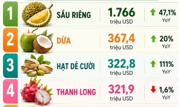 Xuất khẩu rau quả 8 tháng đầu năm 2026 đạt gần 6 tỷ USD