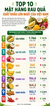 Xuất khẩu rau quả 8 tháng đầu năm 2026 đạt gần 6 tỷ USD