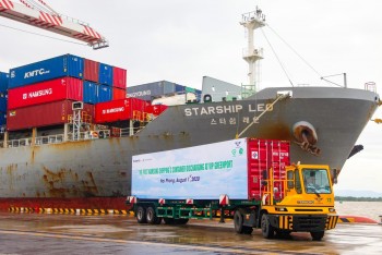 Viconship sắp phát hành hơn 200 triệu cổ phiếu, vốn điều lệ dự kiến vượt 5.800 tỷ đồng