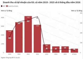 Gilimex điều chỉnh nhẹ mức lãi 6 tháng đầu năm sau soát xét