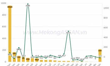 Xuất nhập khẩu Việt Nam – Nga đạt hơn 3 tỷ USD 7 tháng đầu năm