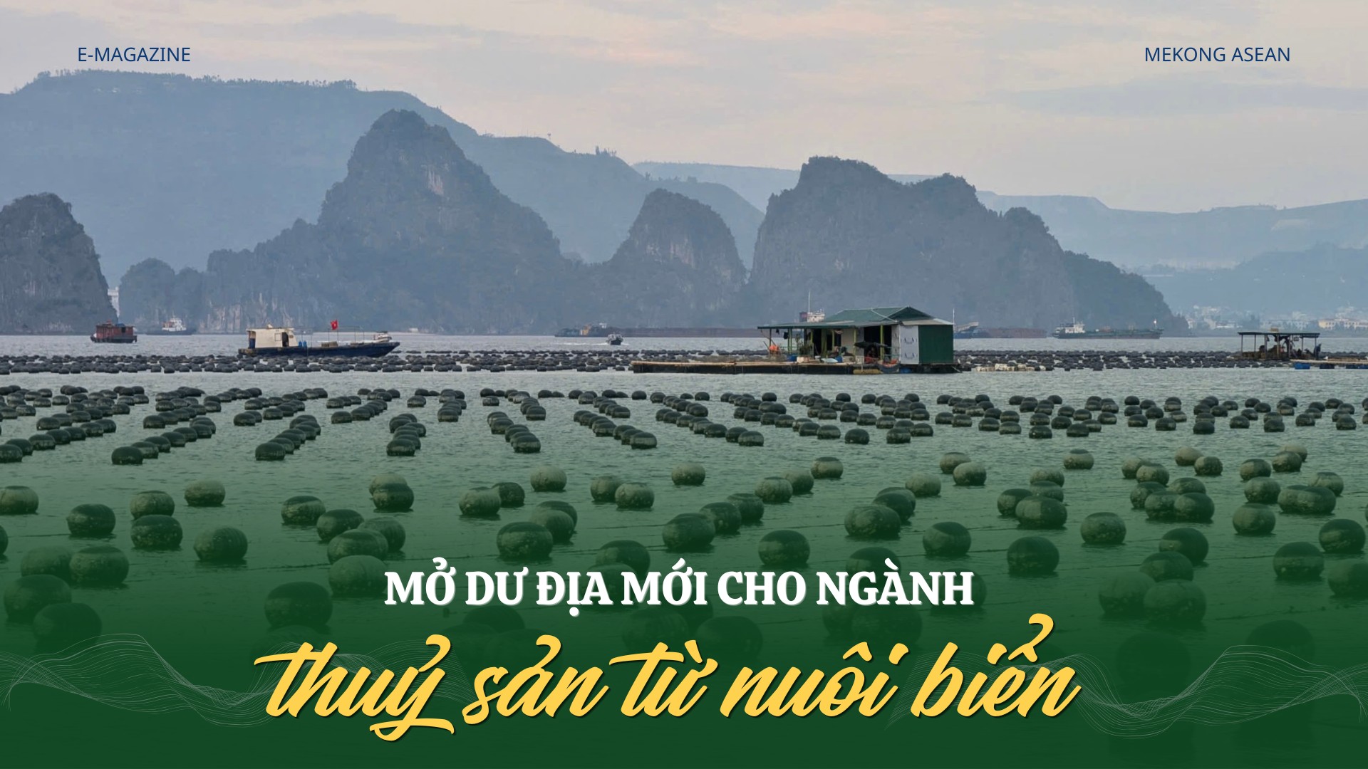 Mở dư địa mới cho ngành thuỷ sản từ nuôi biển