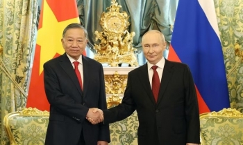 Tổng Bí thư, Chủ tịch nước Tô Lâm hội đàm với Tổng thống Nga Putin