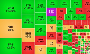 FPT phục hồi, một mã bán lẻ tăng hơn 30% từ đáy