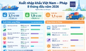 Những mặt hàng xuất nhập khẩu lớn nhất giữa Việt Nam – Pháp trong 8 tháng
