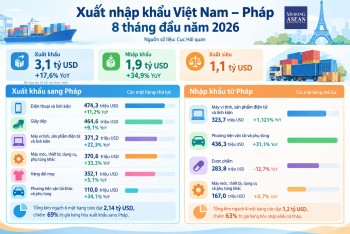 Những mặt hàng xuất nhập khẩu lớn nhất giữa Việt Nam – Pháp trong 8 tháng