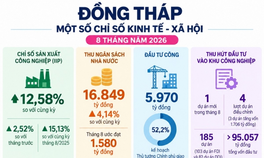 Kinh tế Đồng Tháp tháng 8: Thêm 207 doanh nghiệp mới, 3 dự án tăng vốn
