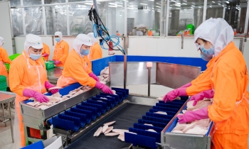 Phó Tổng giám đốc Navico tiếp tục 'xuống tiền' mua cổ phiếu ANV