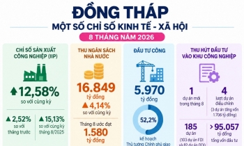 Kinh tế Đồng Tháp tháng 8: Thêm 207 doanh nghiệp mới, 3 dự án tăng vốn
