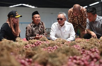Hành tím Indonesia tìm đường 