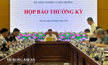 Xuất khẩu 49,3 tỷ USD sau 8 tháng: Nông nghiệp giữ nhịp cho mục tiêu 74 tỷ USD