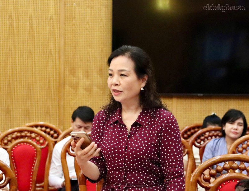 TS. Ngô Phương Lan – Chủ tịch Hiệp hội Xúc tiến Phát triển Điện ảnh Việt Nam phát biểu tại buổi làm việc