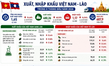 Mảng hóa chất 'hụt hơi', xuất khẩu sang Lào giảm hơn 40%