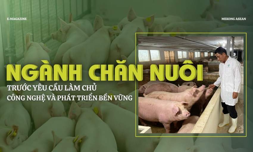 Ngành chăn nuôi trước yêu cầu làm chủ công nghệ và phát triển bền vững