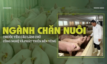 Ngành chăn nuôi trước yêu cầu làm chủ công nghệ và phát triển bền vững