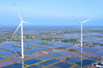 Cổ phiếu của Kosy giảm sàn liên tiếp, về đáy 6 năm