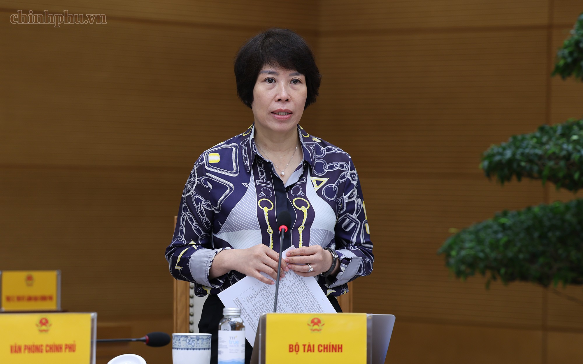 Thứ trưởng Bộ Tài chính Nguyễn Thị Bích Ngọc báo cáo - Ảnh: