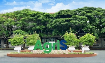 Một nhà đầu tư nước ngoài trở thành cổ đông lớn tại AgriS