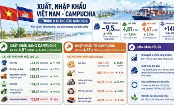 9 tháng,  Việt Nam đảo chiều xuất siêu 140 triệu USD sang Campuchia