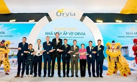 Tây Ninh khánh thành nhà máy ấp vịt 10 triệu USD