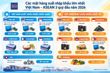 Toàn cảnh xuất nhập khẩu giữa Việt Nam với ASEAN 3 quý đầu năm