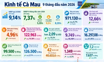 Kinh tế Cà Mau 9 tháng: Xuất khẩu hơn 2 tỷ USD, có 42 dự án đầu tư mới