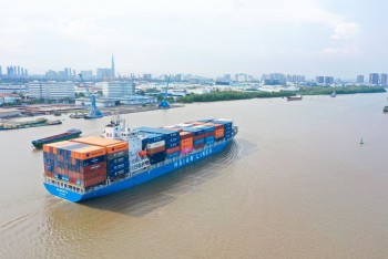 Hải An chi tối đa 70 triệu USD đóng mới hai tàu container
