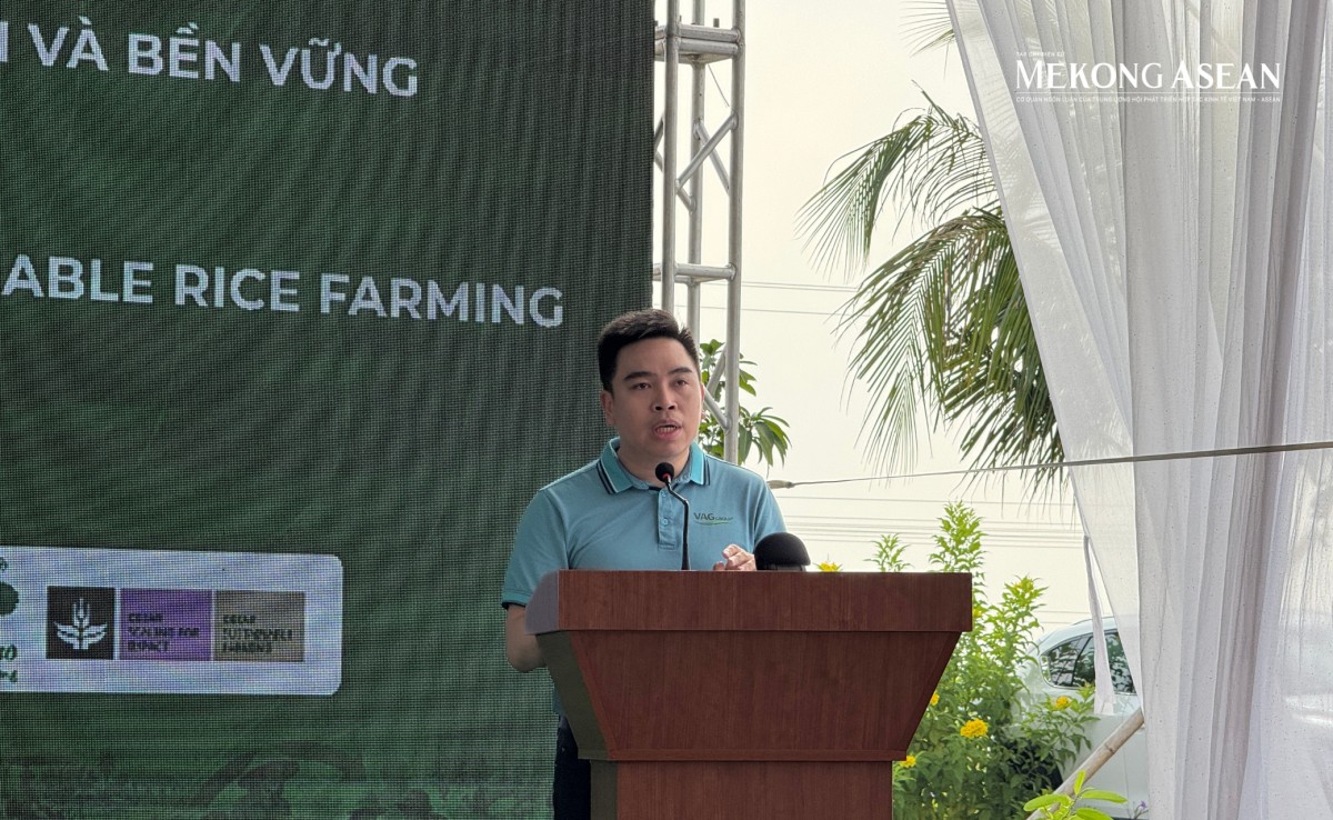 Lúa giảm phát thải cần cơ chế hỗ trợ để nhân rộng