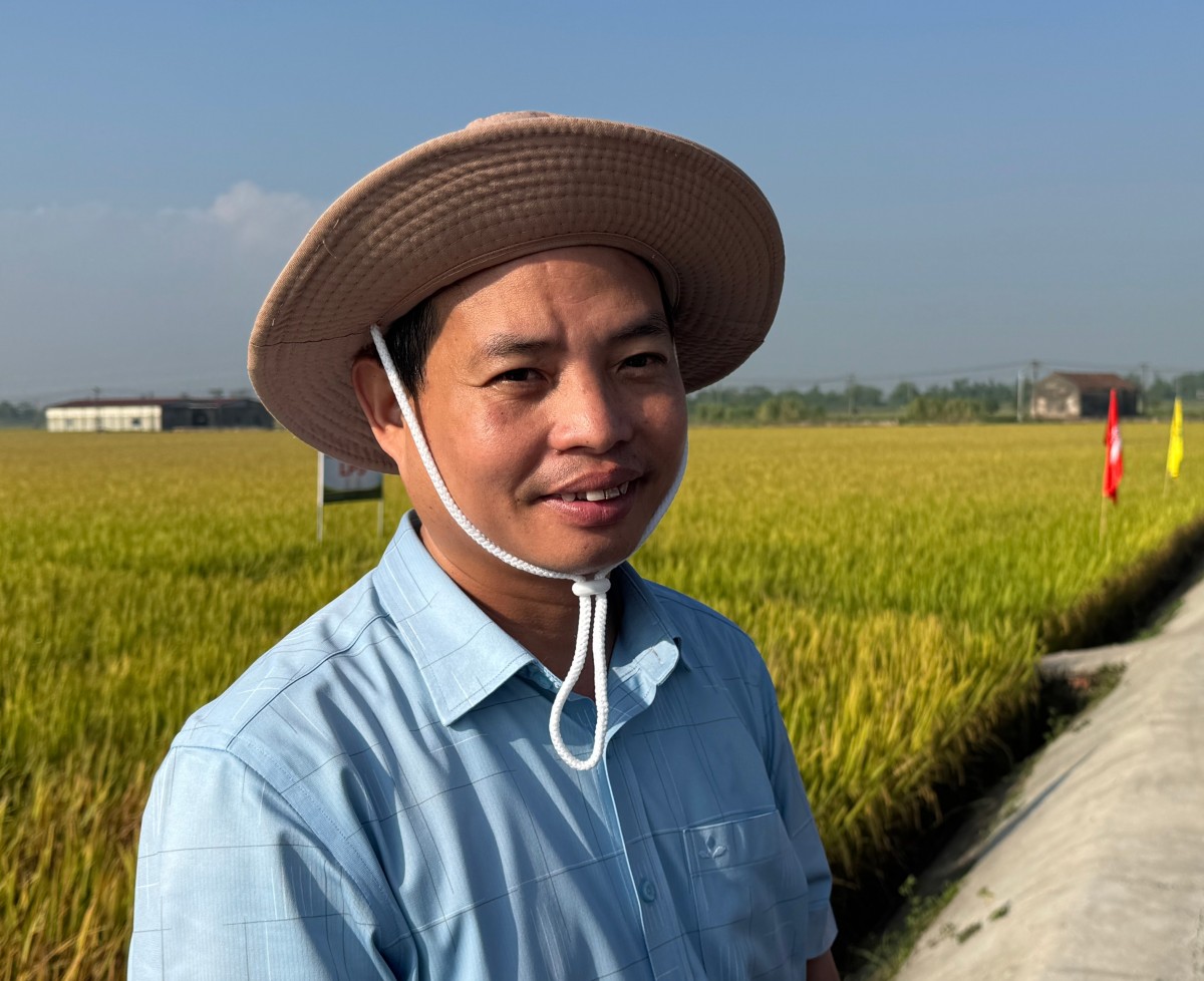 Lúa giảm phát thải cần cơ chế hỗ trợ để nhân rộng