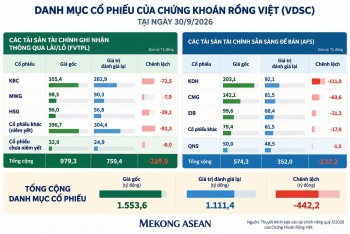 Những cổ phiếu khiến danh mục tự doanh của VDSC tạm lỗ hơn 440 tỷ đồng