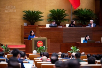 Cử tri lo ngại lừa đảo bằng AI, hàng giả và ô nhiễm môi trường