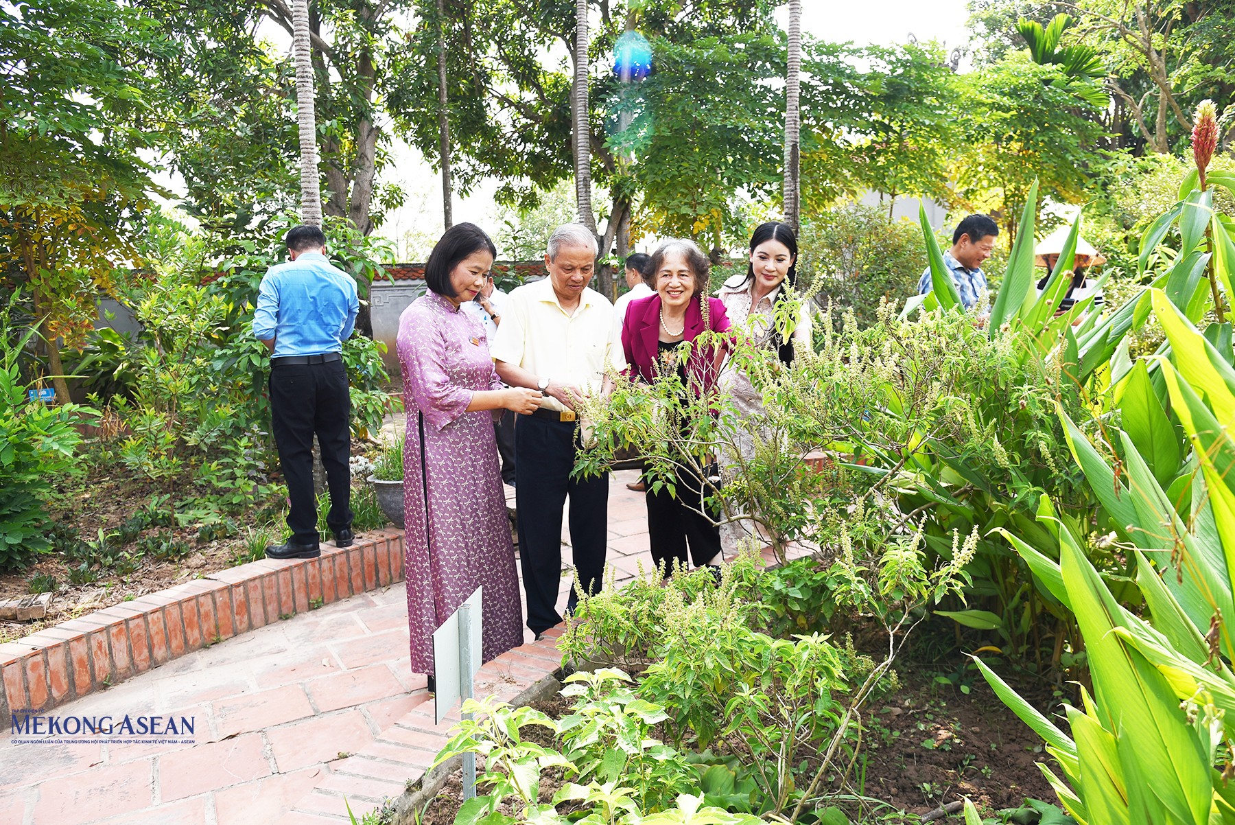 Các đại biểu thực hiện hái lá, cành thuốc tại vườn thuốc đền Bia. Ảnh: Phùng Nguyện.