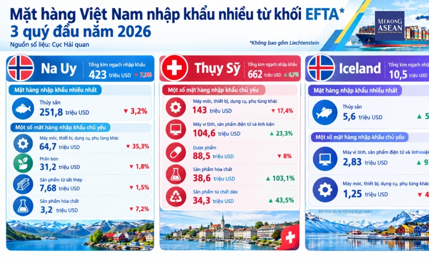 Việt Nam đang xuất nhập khẩu mặt hàng nào với các nước khối EFTA