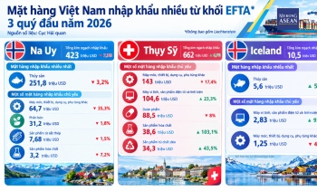 Việt Nam đang xuất nhập khẩu mặt hàng nào với các nước khối EFTA