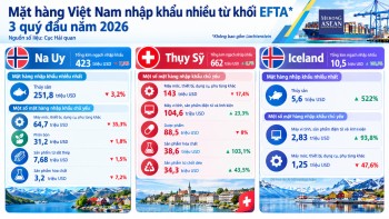 Việt Nam đang xuất nhập khẩu mặt hàng nào với các nước khối EFTA