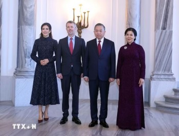 Tổng Bí thư, Chủ tịch nước Tô Lâm hội kiến Nhà vua Đan Mạch