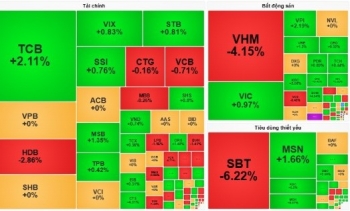 VN-Index tăng nhẹ, VHM kìm hãm đà phục hồi của thị trường