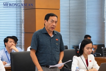 Đại biểu Quốc hội: 'Ngành điện phải tính giá sòng phẳng'