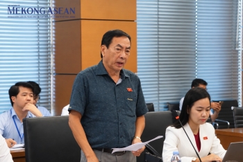 Đại biểu Quốc hội: 
