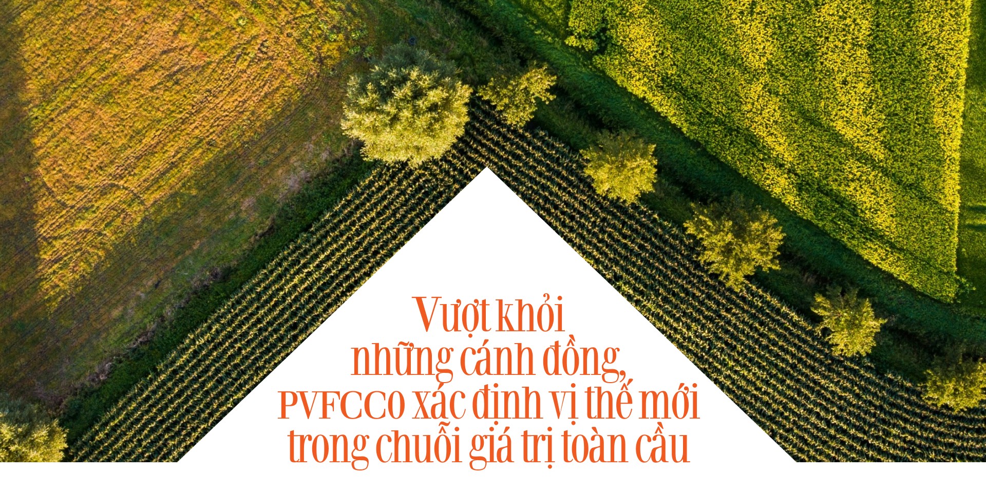 PVFCCo xác định vị thế mới trong chuỗi giá trị toàn cầu