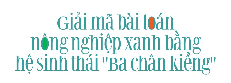 PVFCCo xác định vị thế mới trong chuỗi giá trị toàn cầu