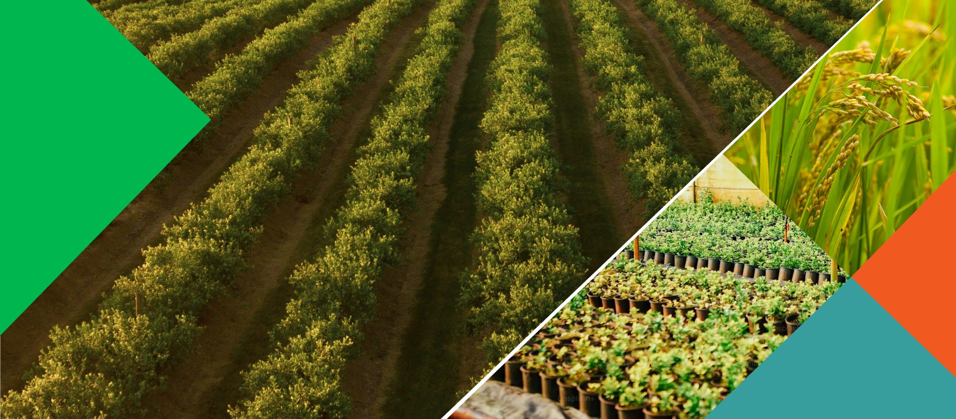 PVFCCo xác định vị thế mới trong chuỗi giá trị toàn cầu
