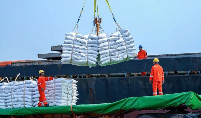 Công nhân bốc xếp gạo tại Cảng Sihanoukville hôm 20/10. Ảnh: Bộ Nông nghiệp, Lâm nghiệp và Thủy sản Campuchia