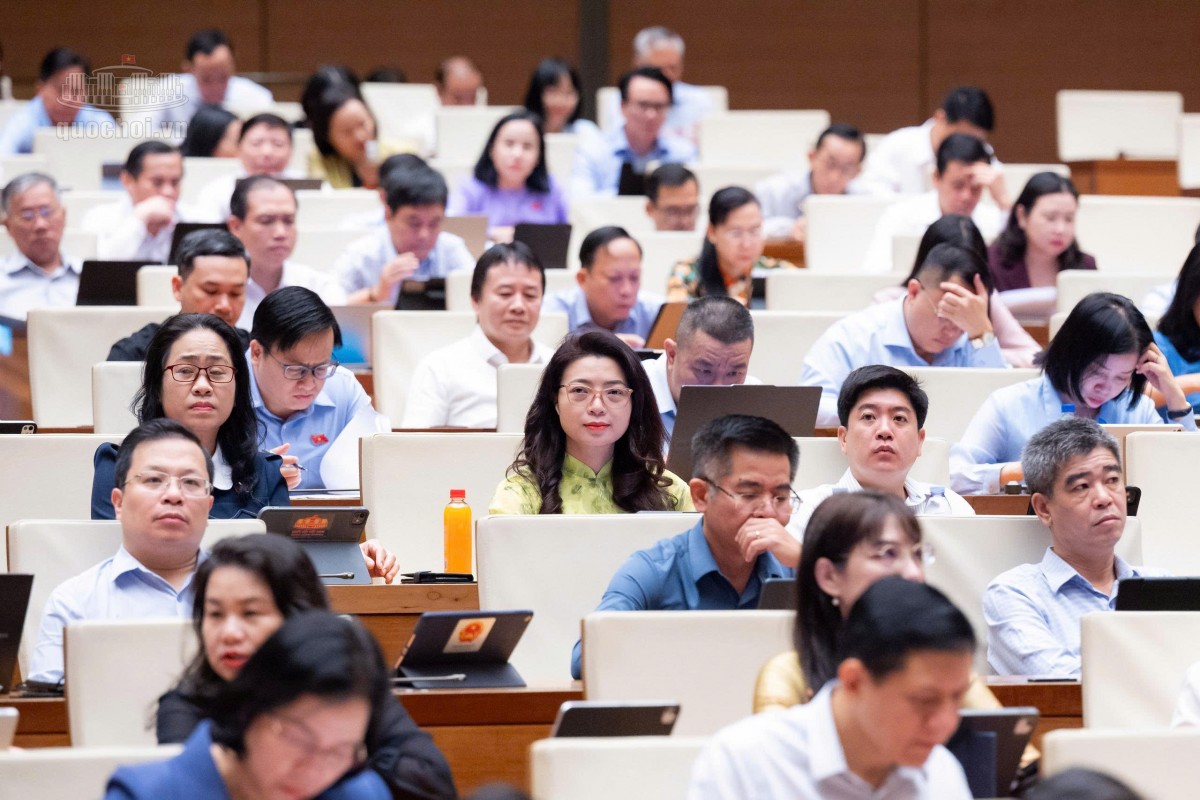 Các đại biểu tham dự Phiên họp. Ảnh: Media Quốc hội