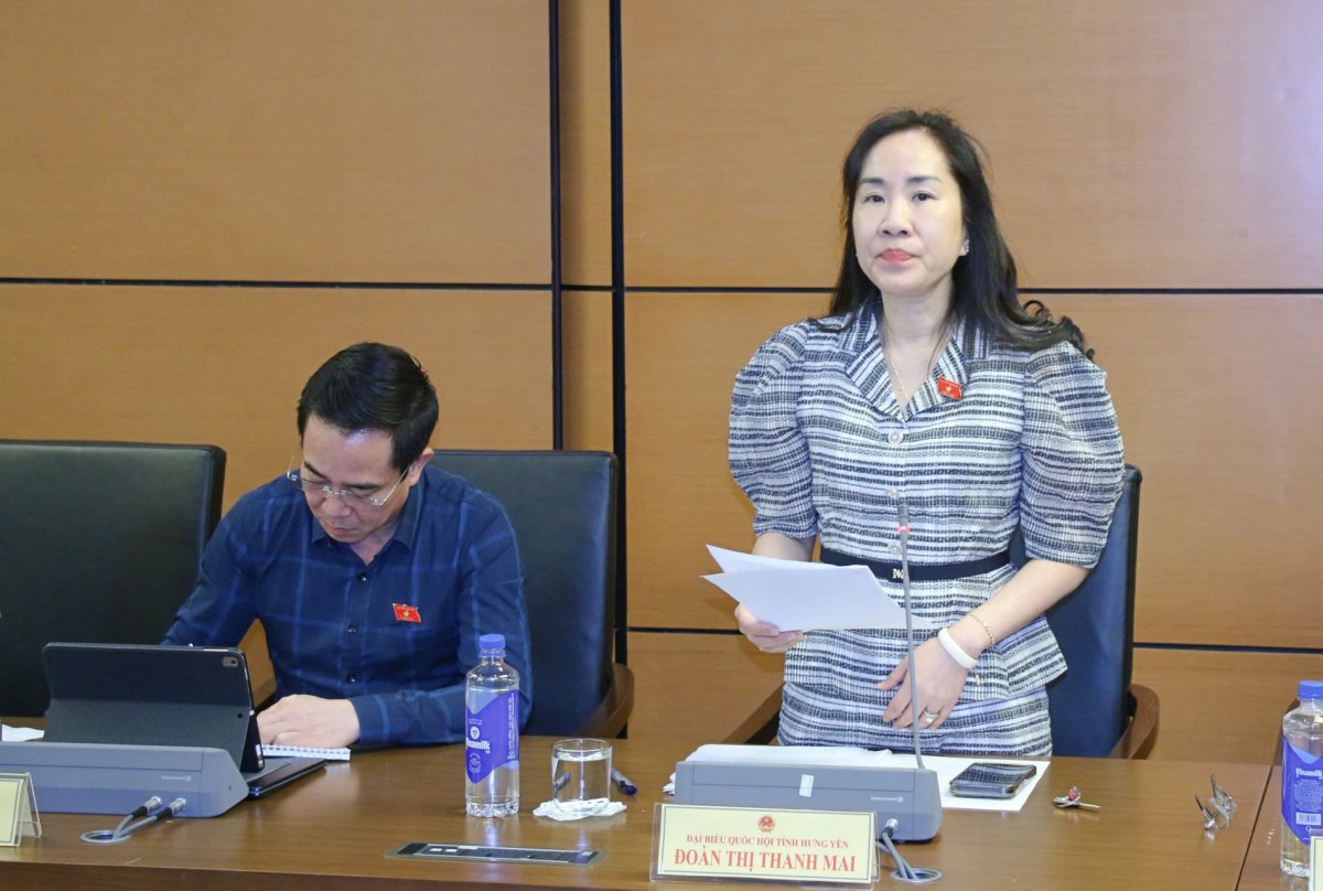 ĐBQH: 'Làm thế nào để người dân có thể sống ổn định trong một căn nhà phù hợp'