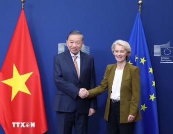EU sẵn sàng hỗ trợ Việt Nam thành trung tâm trung chuyển khu vực