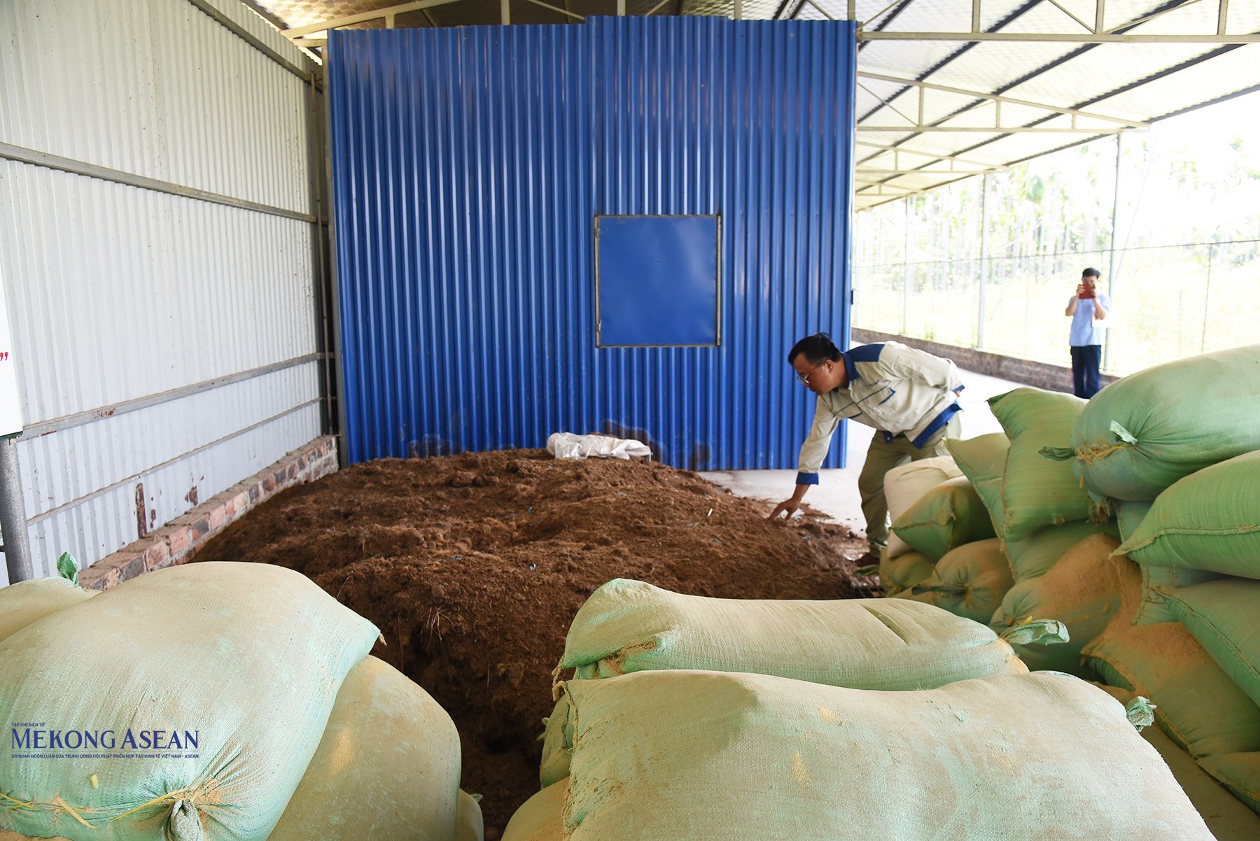 Cán bộ Hợp tác xã kiểm tra nguyên liệu. Ảnh: Phùng Nguyện.