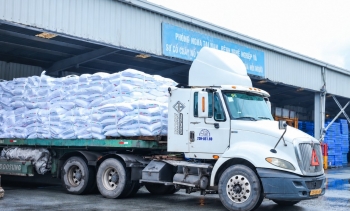 PVFCCo - Phú Mỹ giữ nhịp tăng trưởng, mở rộng dư địa phát triển