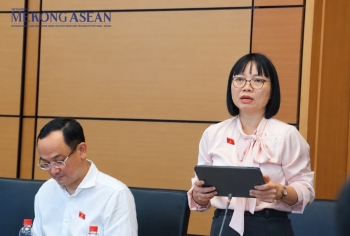 Đại biểu Quốc hội: Cần làm rõ đối tượng chịu thuế đất bỏ hoang